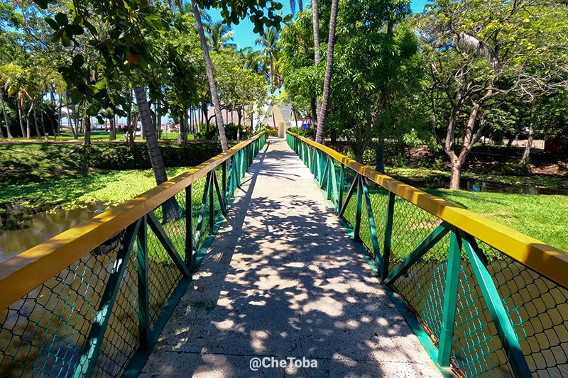 Decamerón Salinitas. Ideal para observar aves