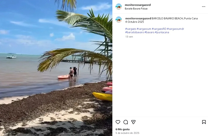 Sargazo hotel Barcelo Playa Bavaro Punta Cana