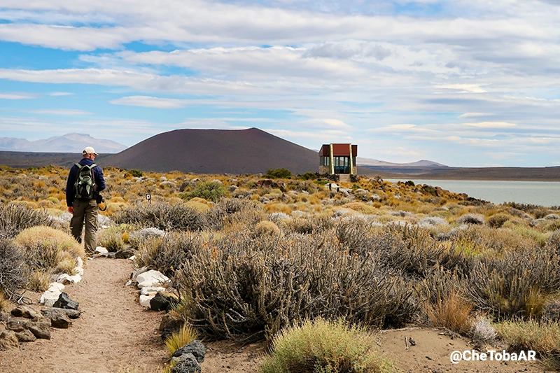 Senderos en Parque Nacional Laguna Blanca, Neuquén