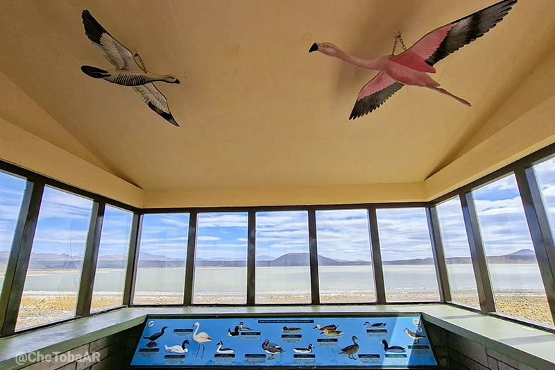 refugio observación de aves Parque Nacional Laguna Blanca