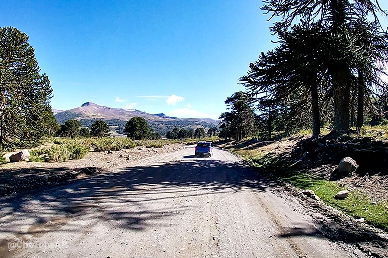 cruce del Paso Pino Hachado