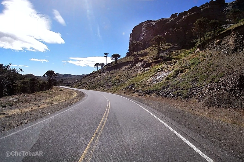 Ruta 242 Paso Pino Hachado