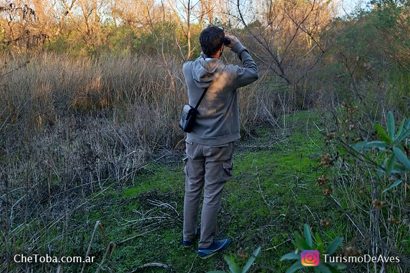 Binoculares para observación de aves
