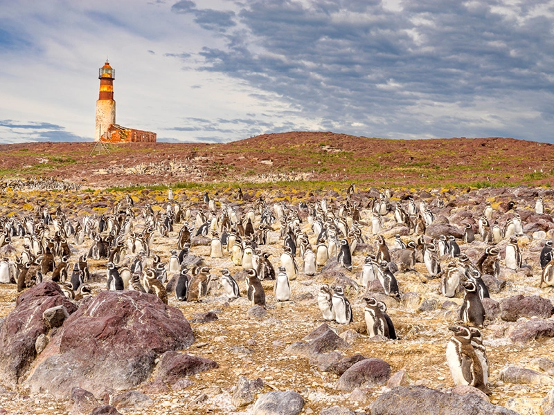 Faro Isla Pingüinos, Santa Cruz