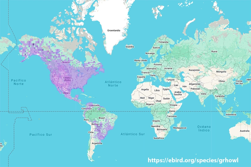 Mapa de distribución de la especie - Bubo virginianus
