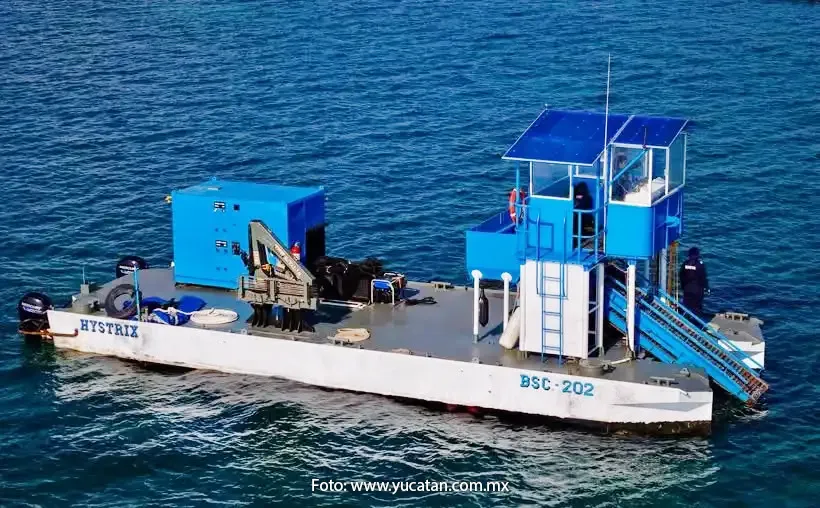Barcazas para contener el sargazo en mar abierto