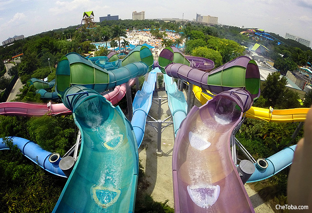 Toboganes Aquatica Orlando