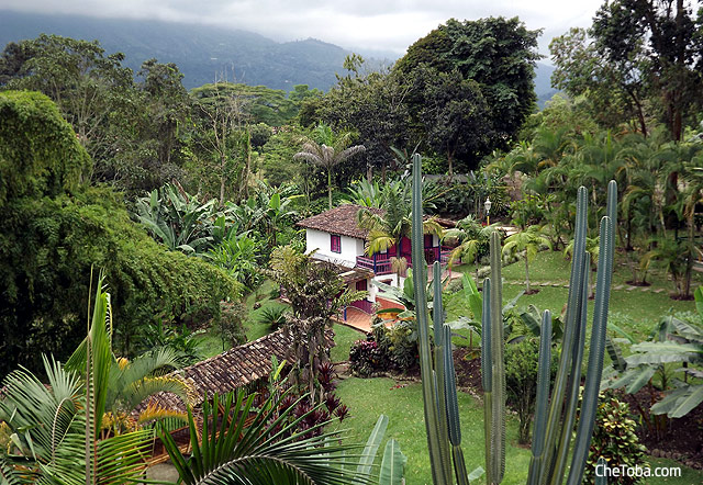 Calarcá Quindío Colombia