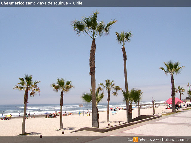 Qué ver en Iquique, Chile