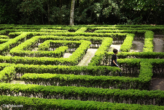 Laberinto Jardín Botánico Calarcá