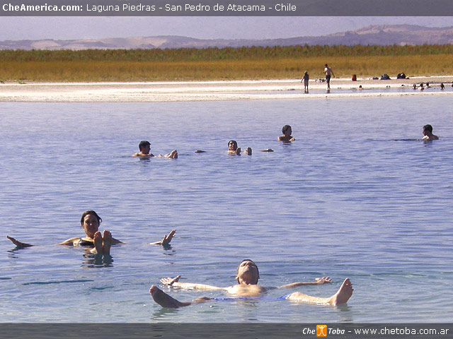 Excursión Laguna de Cejar - San Pedro de Atacama