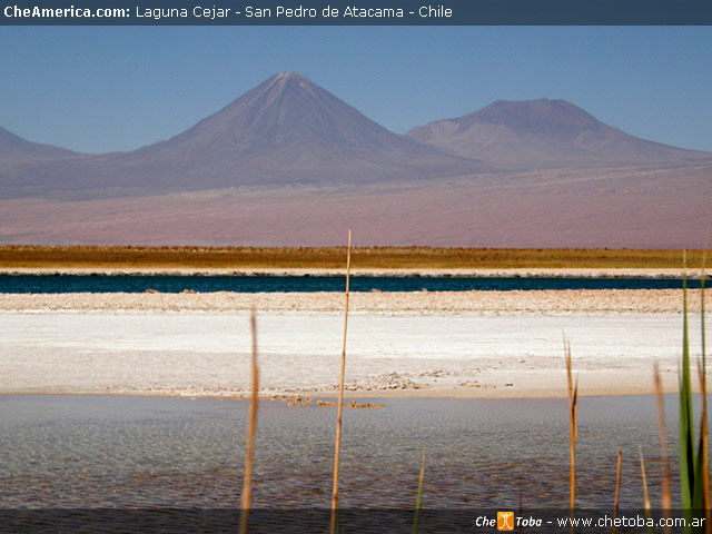 Excursión Laguna de Cejar - San Pedro de Atacama