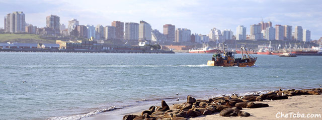 Postal de Mar del Plata