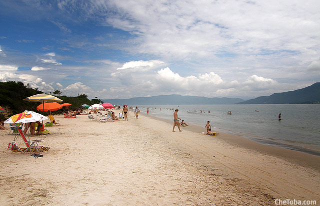 Playa Daniela Florianópolis