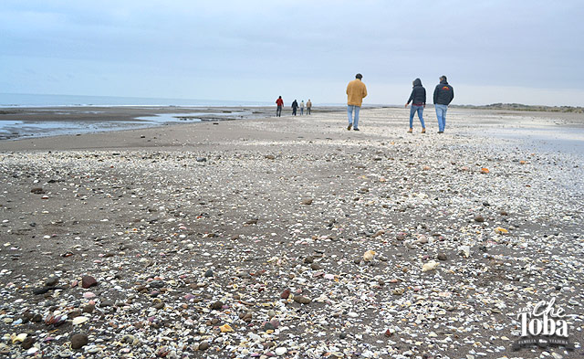 Playa Caracoles Monte Hermoso