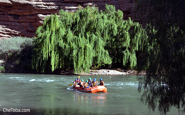 Rafting Río Atuel Mendoza