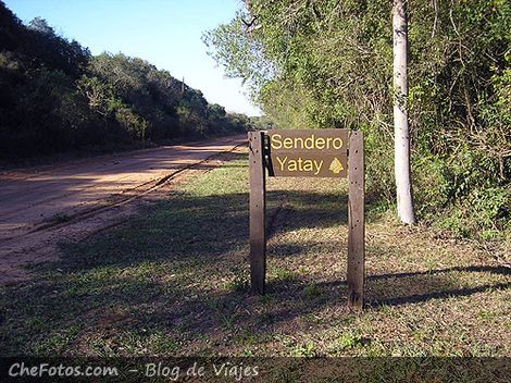 Guía y consejos para visitar el Parque Nacional Mburucuyá