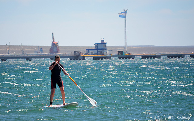 Stand Up Paddle en Puerto Madryn