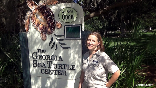 Georgia Sea Turtle Center Jekyll Island